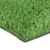 Grass1